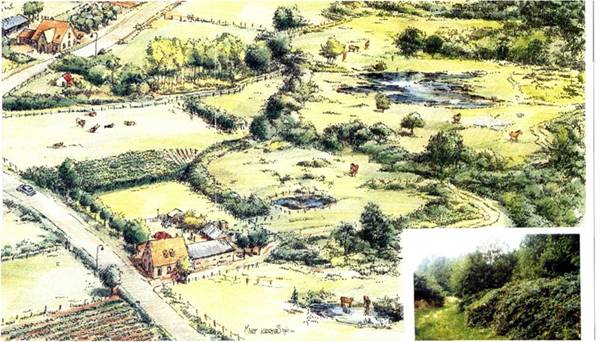 Streefbeeld Aalsbeek